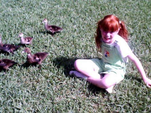 ducks and Gwennie